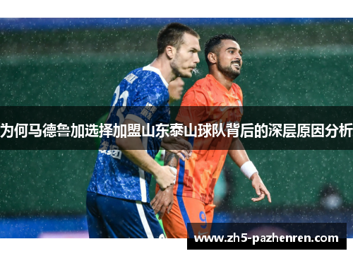 为何马德鲁加选择加盟山东泰山球队背后的深层原因分析