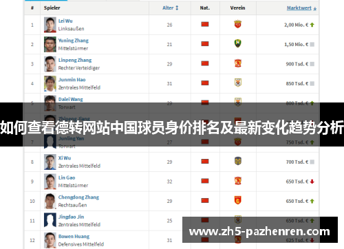 如何查看德转网站中国球员身价排名及最新变化趋势分析