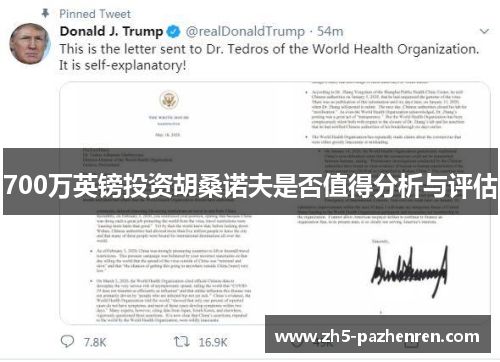 700万英镑投资胡桑诺夫是否值得分析与评估