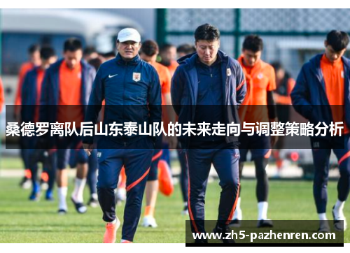 桑德罗离队后山东泰山队的未来走向与调整策略分析 桑德罗离队后山东泰山队的未来走向与调整策略分析