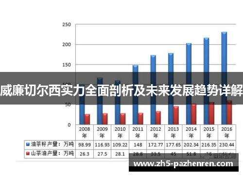 威廉切尔西实力全面剖析及未来发展趋势详解