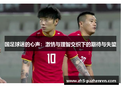 国足球迷的心声：激情与理智交织下的期待与失望
