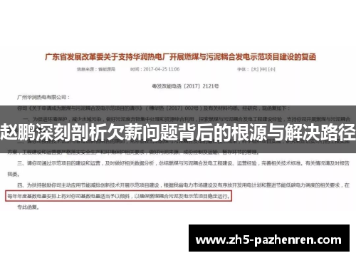 赵鹏深刻剖析欠薪问题背后的根源与解决路径